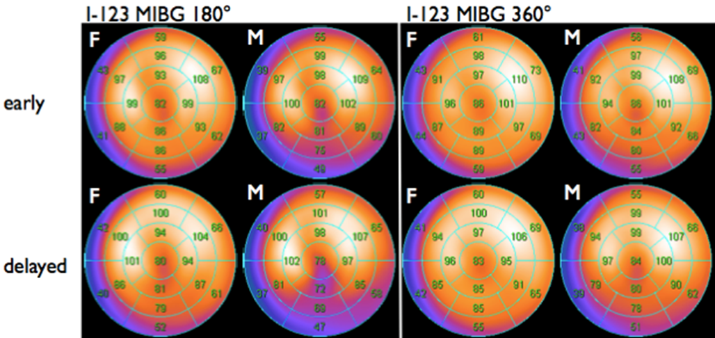 Polar map